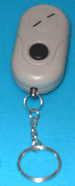 Electronic Personal Alarm