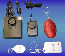 Security Alarm Samples